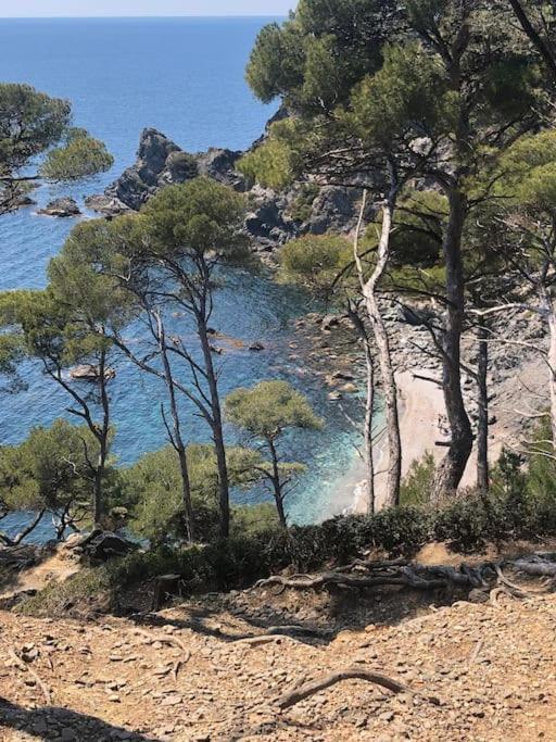 Appartement Petite Endroit Splendide. à Six-Fours-les-Plages Extérieur photo